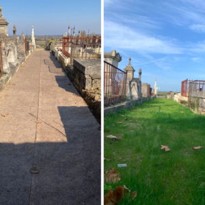 Cimetière Végétalisation Paillage ensemencé